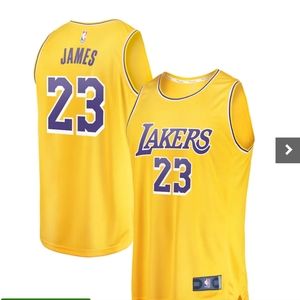 Youth LeBron James Los Angeles Lakers Fanatics Branded Fast Break Replica